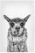 artboxONE Poster 30x20 cm Lama & Alpaka Tiere Funny Llama hochwertiger Design Kunstdruck - Bild Llama Funny Llama