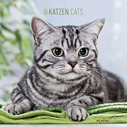 Katzen 2021 - Broschürenkalender 30x30 cm (30x60 geöffnet) - Cats - Bild-Kalender - Wandplaner - mit Platz für Notizen - Alpha Edition