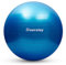 doorslay Anti-burst Yoga Ball- 55cm/65cm/75cm Stability Balance Ball Fitness Exercise Ball with Air Pump (75, Blue)