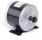 Permanentmagnet Elektromotor Generator, 350W 36V DC Motor für DIY E-Scooter Elektromotor Mini Bike DIY Elektroroller E Bike Fahrrad, Bürstenmotor für Wind/Wasser Energie