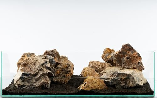 Versteinertes Holz Bunt | Echte Versteinerung Aquarium Deko | Naturstein für natürliche Aquarienlandschaft | 1 Stein | Größe:L 20-30cm