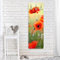 Bilderwelten Garderobe - Top Blumen Garderoben, Größe HxB:105cm x 34cm, Motiv:Roter Sommermohn
