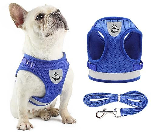 Anlitent Soft Mesh No Pull Cat Harness and Lead Set for Walking, Escape Proof Kitten Vest Harnesses for Small Dogs/Cats/Animals Rabbit, Cool Cat Dog Collar with Leash (Blue, X-Large)
