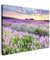 MuchoWow© Bilder 80x60 cm Wohnzimmer Deko Modern Wandbild Foto auf Leinwand Bild Schlafzimmer Room Decor Geschenke Blumen - Lavendel - Lila - Himmel - Sonnenuntergang - Wiese - Natur