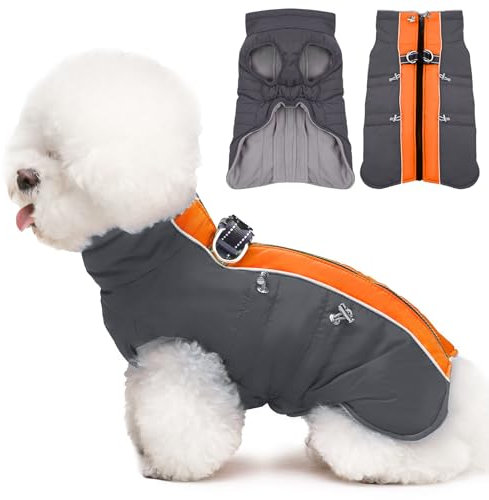 Katzinst Hunde Wintermantel Wasserbeständig, Verstellbarer Halsausschnitt, Hundemantel mit Geschirr und Durch Verstellbare Gummizüge, Hundebekleidung für Mittlere Hunde, Cocker Spaniel, Orange-Grau, M