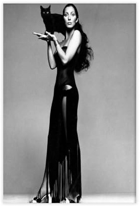 BILQAHT Cher Poster, Retro-Mode-Kunst, Rock-and-Roll-Leinwand-Poster, Wandkunst, Dekordruck, Bild Gemälde für Wohnzimmer, Schlafzimmer, Dekoration, 30 x 45 cm