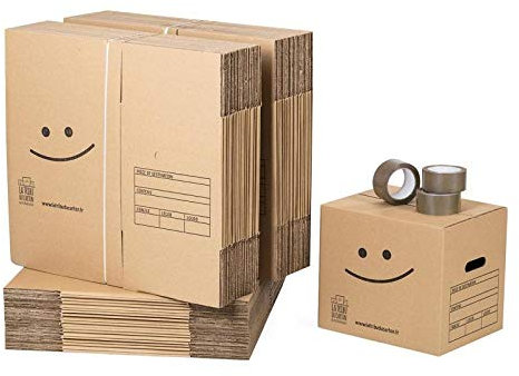 Pack 60 cartons à livres avec poignées + 3 adhésifs offerts