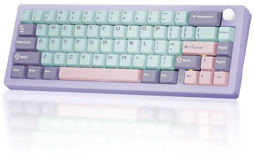 BOYI GMK67-65% Mechanical Keyboard,Gasket-Mounted HotSwap BT5.0/Type-C/2.4G Wireless South-facing RGB,Cherry Profile PBT Keycaps Linear Lubed Switches Custom Gaming Keyboard (Purple)
