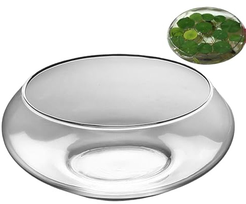 Bol en Verre pour, Grand Pot de Fleurs succulentes – Vase Rond et Large Transparent pour Grasses, vasques d'intérieur pour centres de Table, Mariage, Maison, fête