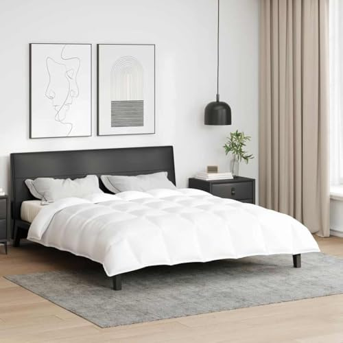 Générique Duvet d'hiver Blanc 240 x 260 cm Plume,Maison & Jardin,Linge,Literie,Dessus-de-lit & couettes,Blanc,4.54 KG,42007662