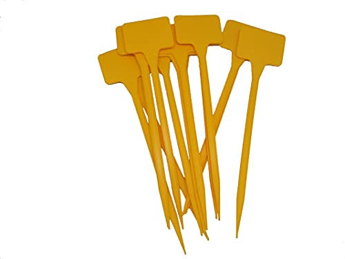 PAMPOLS Etiquetas con Pincho para Identificar Plantas | Marcadores para Etiquetar Huertos, Viveros, Macetas y Jardineras | Color Amarillo | Largo: 30 cm | Set de 100 etiquetas