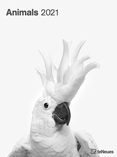 Animals 2021 - Foto-Kalender - Poster-Kalender - 48x64 - Tiere