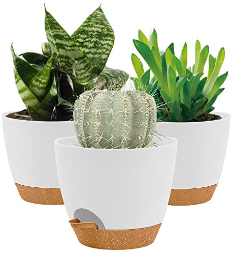 20CM Plant Pots Indoor,Self Watering Plant Pots of 3,Flower Pots with Drainage Holes and Trays,Decorative Modern Suitable for flowers,Snake Plant, Orchid,Lily,Aloe,Violet and House Plant(White)