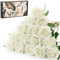 Cloudecor 15Pcs Small Artificial Roses Velet Real Touch Single Stem Fake Roses Silk Realistic Flowers Arrangements Home Office Party Wedding Decoration (Pearl Roses, White 15p)
