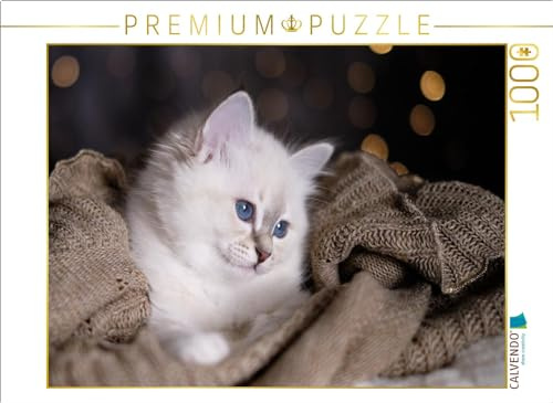 CALVENDO Puzzle Sunny - Blue Tabby | 1000 Teile Lege-Größe 64 x 48 cm Foto-Puzzle für glückliche Stunden