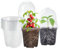 Lot de 10 pots de fleurs ronds de 10 cm avec couvercle en forme de dôme, en plastique transparent, pour plantes, semis, transplantations