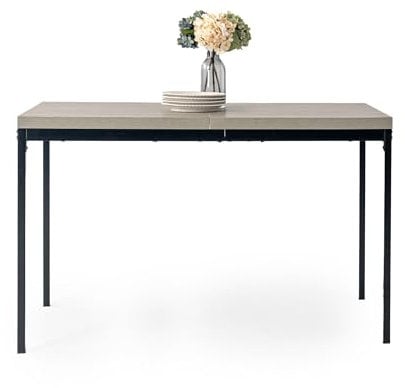 FurnitureR Rechteckiger Esstisch, L-120 cm für 4-6 Personen, minimalistisches Design, Thick Wood Top mit Metallrahmen, vielseitig einsetzbar für Home oder Büro, für Outdoor & Indoor 120 x 70 x 75 cm