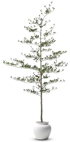 Everleaf - Olivier noir artificiel de 2,3 m – Grande femme ombragée d'intérieur avec pot de base noir, arbre décoratif réaliste pour la maison et le bureau – Décoration moderne