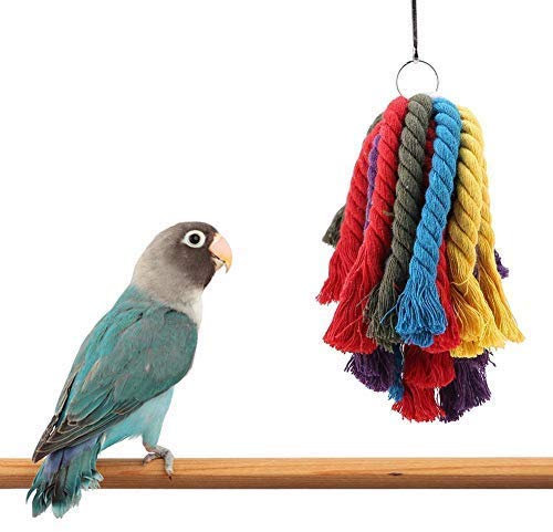 Papagei Spielzeug, Bunte Baumwollseil Vogel Kauen Hängen Spielzeug Käfig Zubehör für Macaw African Grey Kakadu Wellensittiche Parakeet Cockatiel Lovebird