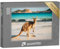 puzzleYOU: Puzzle 1000 Teile „Känguru, Lucky Bay, Cape Le Grand National Park, Australien“ – aus der Puzzle-Kollektion Tiere, Kängurus, Exotische Tiere & Trend-Tiere