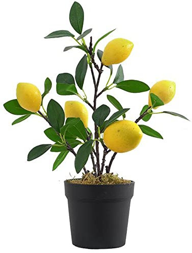 Aisamco 1 Stück Künstliche Zitronenpflanze mit Topf, 30 cm hoch, realistisch, für Zuhause, Hochzeit, Büro Dekoration