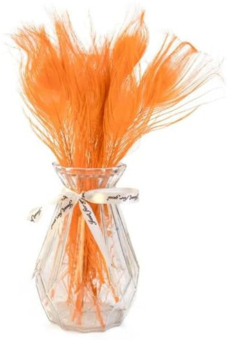 WYLZBA 10/20 Stück gefärbte Pfauenfedern 25–30 cm für DIY Handwerk Vasen Hut Kostüm Zuhause Party Hochzeit Karneval Urlaub Blumendekoration-Orange-10 Stück