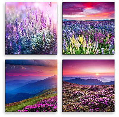 4 Bilder je 30x30cm Leinwandbilder Wasserfest Leinwanddruck Lavendel Blumenwiese Sommer Frühlingsgefühle Lila Farben zum verlieben!