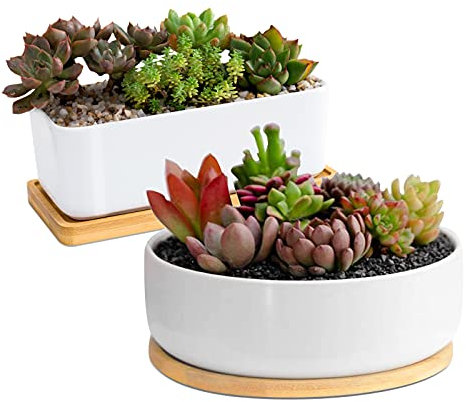 ARVINKEY - Vaso per piante grasse in ceramica bianca, 1 vaso rettangolare + 1 vaso rotondo, vasi bonsai, vasi da fiori con foro di drenaggio e vassoio in bambù (senza pianta)