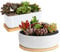 ARVINKEY - Vaso per piante grasse in ceramica bianca, 1 vaso rettangolare + 1 vaso rotondo, vasi bonsai, vasi da fiori con foro di drenaggio e vassoio in bambù (senza pianta)