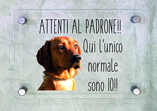 CARTELLO IN PLEXIGLASS SEGNALETICO - SEGUGIO MAREMMANO Attenti al padrone qui l'unico normale sono io - Con Distanziali in acciaio inox e Stampa U.V. (20X31 CM)