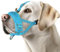 Eyein Maulkorb für Große Hunde, Verstellbarer Reflektierender Nylon Maulkorb für Hunde mit Verbindungsgurt, Hunde können hecheln und Trinken, Verhindert das Beißen, Bellen und Kauen (Blau, L)