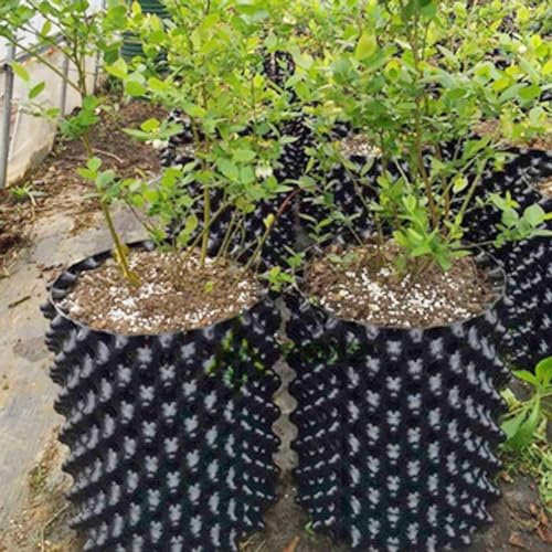 Jayruit Pot de pépinière avec effet d'élagage d'air, encourage les racines fibreuses, améliore les systèmes racinaires, contrôle la reproduction des racines, matériau PVC durable, noir (30 x 20 cm)