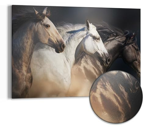 DEQORI Metall Magnettafel | 60x40 cm cm groß | Motiv Pferde-Trio im Galopp | Whiteboard für alle Magnete | Magnetboard Wand-Tafel für Küche & Büro | Design Magnetwand Pinnwand magnetisch