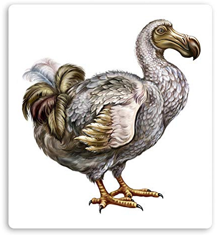 2 x 10 cm Extinct Dodo Bird Vinyl-Aufkleber – Wildvögel Auslöschung Aufkleber #29088