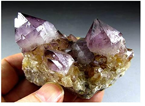 PAKMEZ Natürlicher Kaktus-Amethyst-Quarz, Südafrika schön