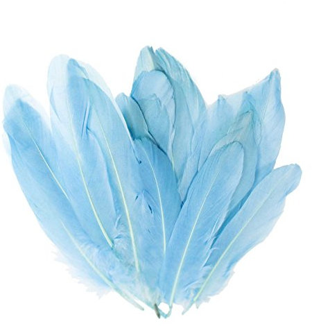 maDDma 20 Enten-Federn 15-21cm Bastelfedern Federn f. Basteln Dekoration Hüte Kostüme, Farbe:hellblau