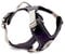 Wolters Geschirr Active Pro, Größe:50-57.5 cm, Farbe:Champagner/schwarz