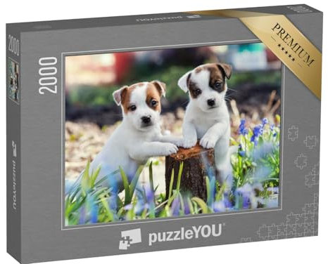 puzzleYOU: Puzzle 2000 Teile „Zwei süße Jack Russel Welpen“