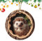 Weihnachten Acryl Tier Baumanhänger, Weihnachtsdeko 2D Anhänger Weihnachtsbaumschmuck Igel Weihnachtsbaum Anhänger Weihnachtsdekoration Für Wohnzimmer Schlafzimmer