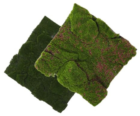 Cabilock 2st Simulation Moos Rasen Grünes Moos Künstliche Grasdekoration Bionisches Moos Simulation Moosmatte Künstliches Grasmoos -netzclip Moos Gras Moos Moosdekor Plastik