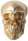 Riess Ambiente Exklusive Totenkopf Wandskulptur Skull XXL 40cm Gold Deko Schädel Totenschädel