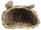 Pssopp Nido de Paja de hámster Nido de Animal doméstico Trenza de Paja Forma de Cabeza de Conejo Chinchilla Hámster Erizo Hierba Nido cálido de la casa