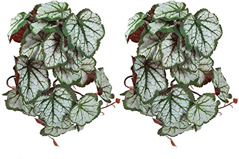 TKSE 2PCS Pianta Acquatica Artificiale, Simulazione Vite Acquario Foglie Finte Realistiche Foglie di Plastica di Piccole Dimensioni Decorazione con Ventosa per Acquario(Van Genleaf)