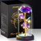 Otlonpe Blumen Geschenke für Frauen Muttertagsgeschenke für Mama, Geburtstagsgeschenk für Frauen Mama Freundin Oma, Ewige Rose im Glas mit LED Licht, Muttertagsgeschenk für Mama Oma (Lila)