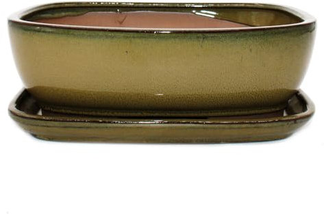 exotenherz Bonsai-Schale mit Unterteller Gr. 5 Oliv-Braun rechteckig Modell GB5 L 31cm B 25cm H 10cm