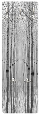 Bilderwelten Garderobe - Birken im November, Größe HxB:119cm x 39cm