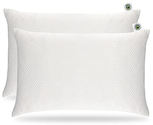 Lot de 2 étuis de Protection d'oreiller avec Fermeture à glissière - Fabriqué avec Un Tissu de Bambou Supersoft 280GSM Anti-Allergie, 100% Hypoallergénique et Anti-Bactérien