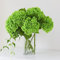 DUYONE 3PCS 56 cm Realistische künstliche Hortensie Große Real Touch Blumen Künstliche Blumen Trockene Blumen Hochzeit Weihnachten Büro Familie Party Wohnzimmer Tischdekoration (Grün)