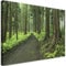 Feeby Vlies Leinwandbild Wald Natur Bäume Farn 30x20 cm Wand Bild Kunstdruck Deko Wohnzimmer Wohnungs Deko Blätter Weg Pflanzen Grün