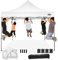 COBIZI pavillon faltpavillon 3x3 wasserdicht stabil Winterfest,Outdoor faltbar partyzelt，gartenpavillon mit 4 Seitenteilen und 4 Sandsack und Laufradtasche, Weiß